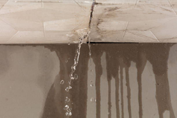 Professional Water Extraction technician working in Janesville, CA